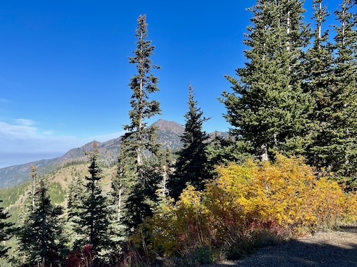 Mt Angeles