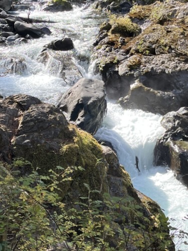 Cascades