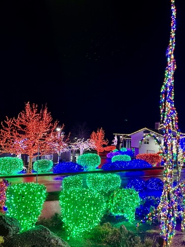Lights