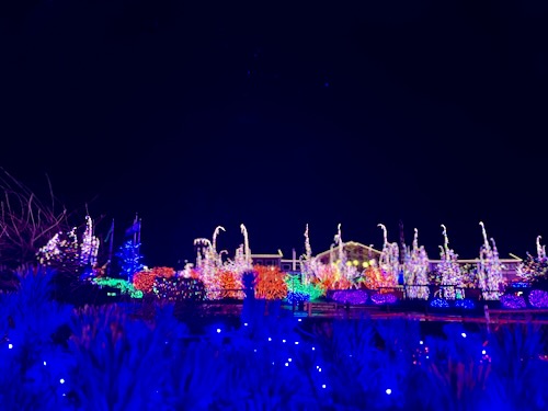 Lights