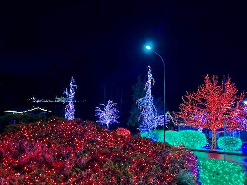 Lights