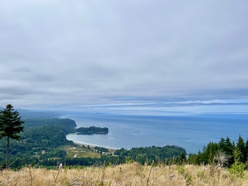 Bay