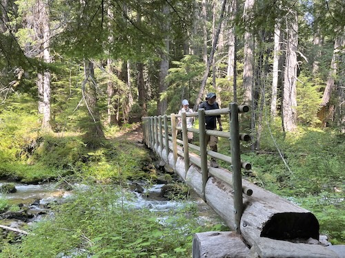 Bridge