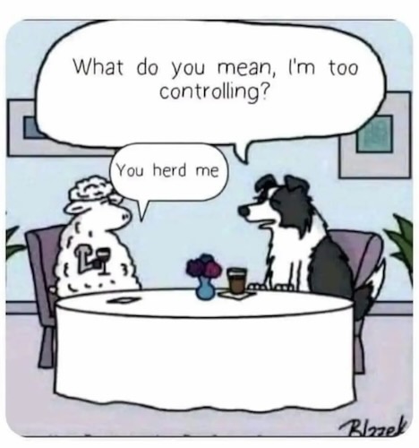 Herd