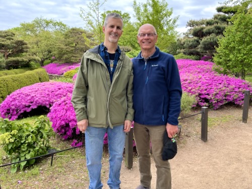 Azaleas