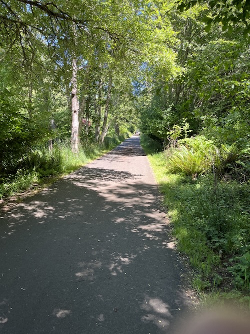 Trail