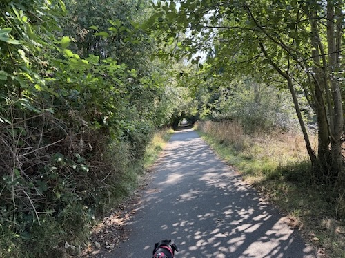 Trail