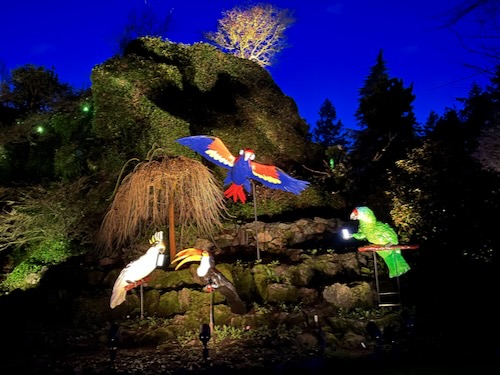 Calling Birds