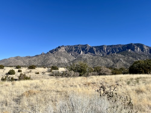 Hiking