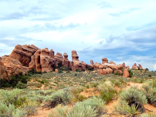 Devil's Garden