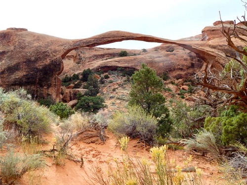 Landscape Arch