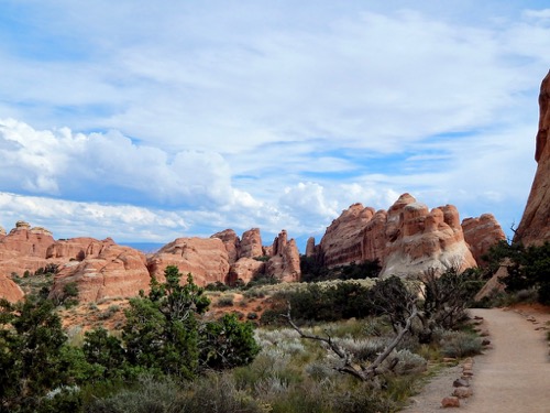Devil's Garden