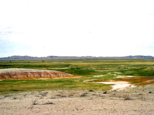Grasslands