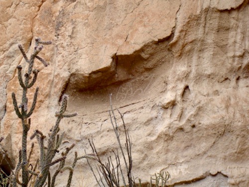 Petroglyph