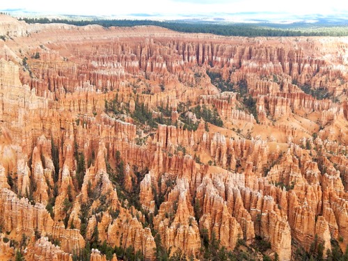 Bryce