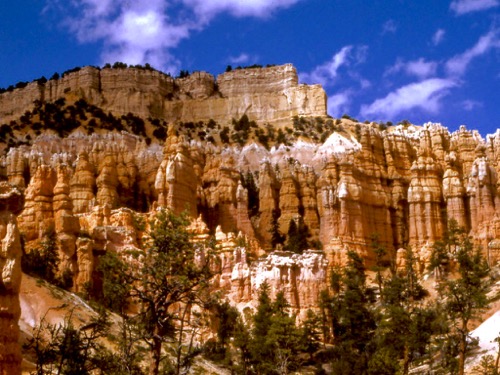 Bryce