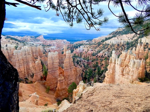 Bryce