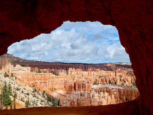Bryce