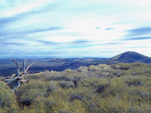 Cinder Cones