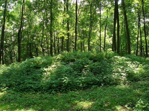 Mound