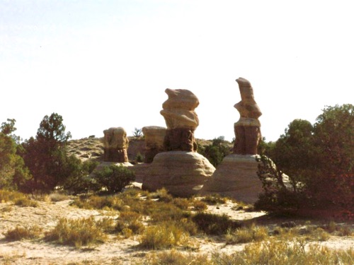 Rock Garden