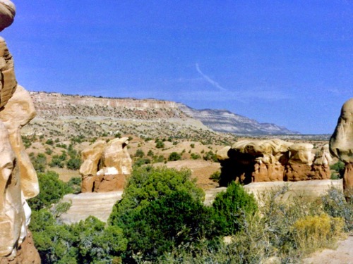 Rock Garden