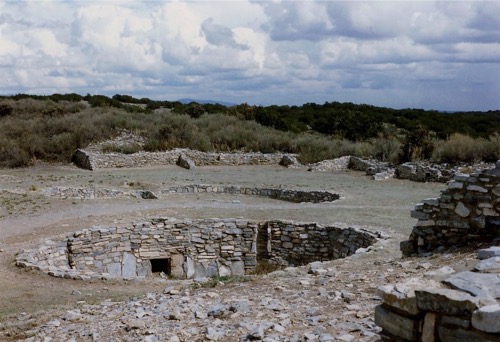 Kiva