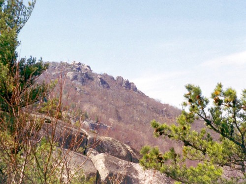 Shenandoah