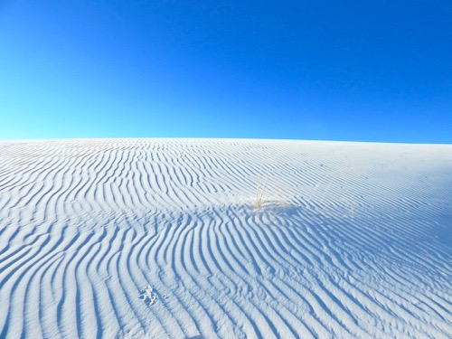 Ripples