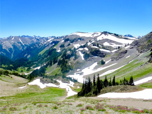 Badger Valley