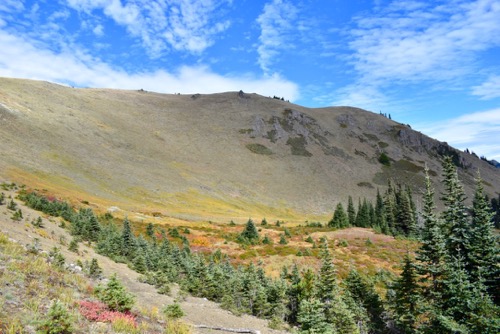 Hurricane Hill