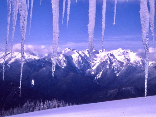 Icicles
