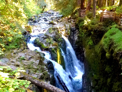 Sol Duc