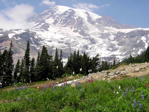Mount Rainier