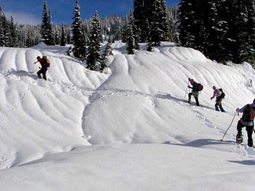 Snowhoeing