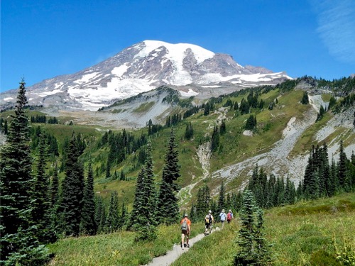 Mt. Rainier