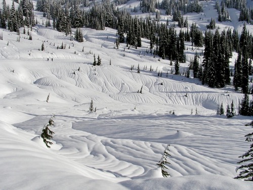Contours