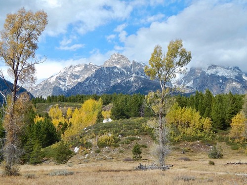 Grand Teton