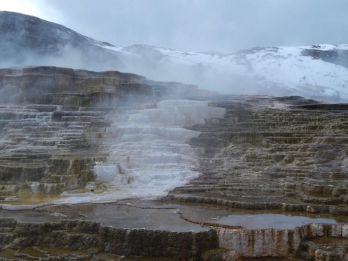 Mammoth Hot Springs