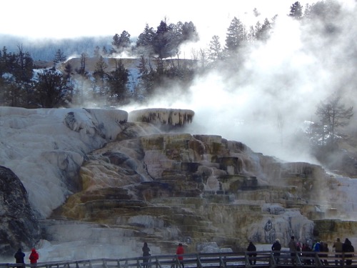 Mammoth Hot Springs