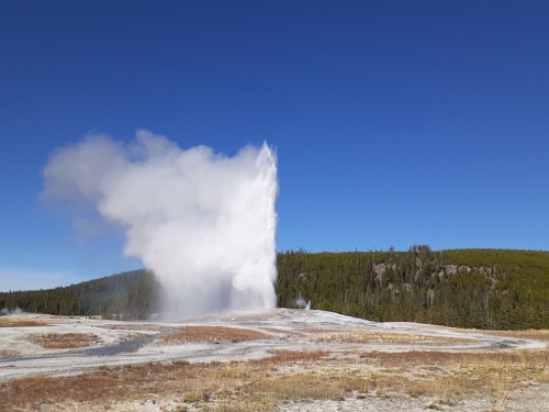 Old Faithful