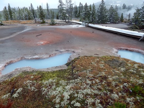 Artist Paint Pot Pools