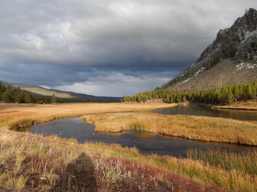 Madison River