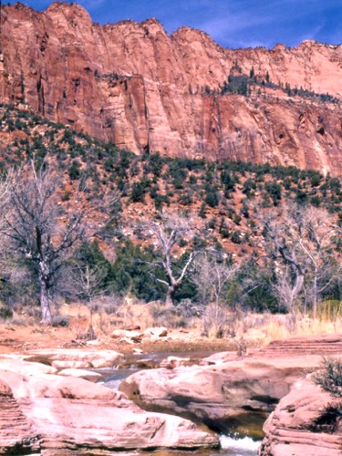 Kolob Canyon Cliffs