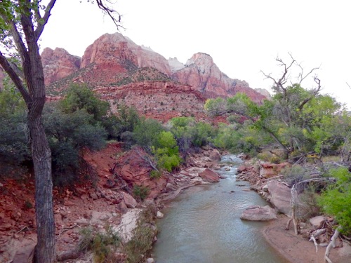 Stream