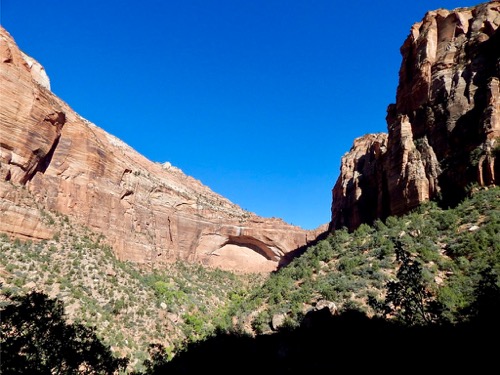 Forming Arch